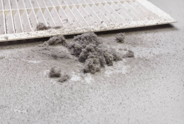 Best Affordable Duct Cleaning Services  in Hartley, IA